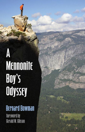 A Mennonite Boy's Odyssey - 9781532602719