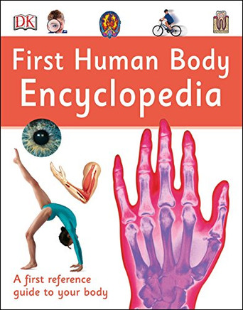 First Han Body Encyclopea (Dk First Reference)
