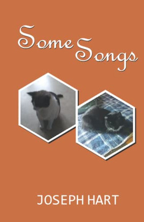 Some Songs - 9788182538764