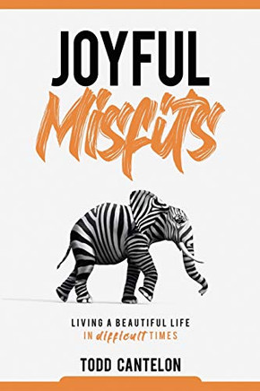Joyful Misfits : Living a Beautiful Life in Difficult Times