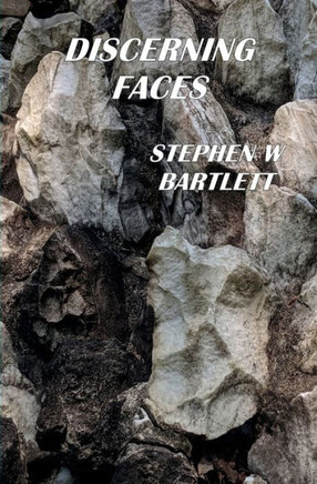 Discerning Faces