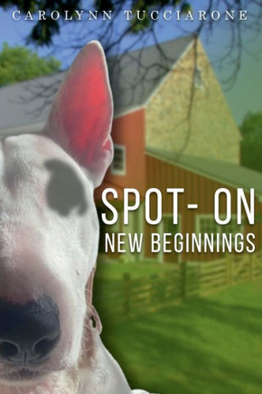 Spot- On: New Beginnings