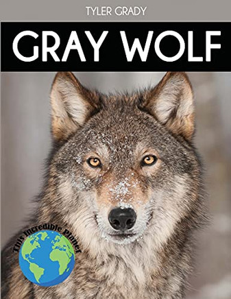 Gray Wolf: Fascinating Animal Facts Fur Kids (This Incredible Planet)