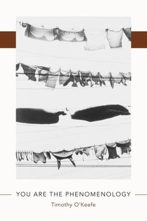 You Are The Phenomenology (Juniper Prize For Poetry)