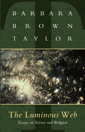 The Luminous Web: Essays on Science and Religion