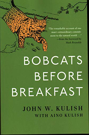 Bobcats Before Breakfast