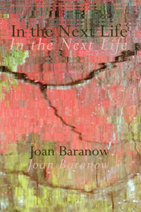 In the Next life