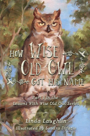 How Wise Old Owl Got His Name (Lessons With Wise Old Owl) - 9781958783085