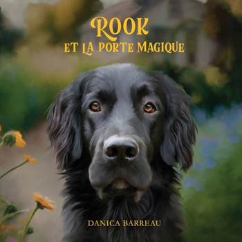 Rook Et La Porte Magique (French Edition)