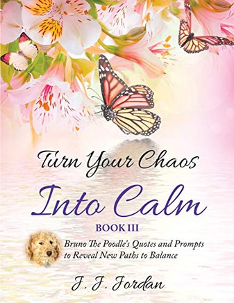 Turn Your Chaos Into Calm - 9781734094442