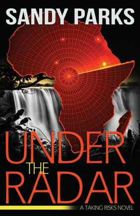 Under The Radar : A Taking Risks Novel