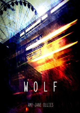 Wolf Play - 9781326384951