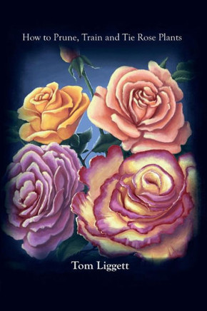 How To Prune, Train And Tie Rose Plants