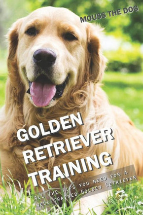 GOLDEN RETRIEVER TRAINING: All the tips you need for a well-trained Golden Retriever
