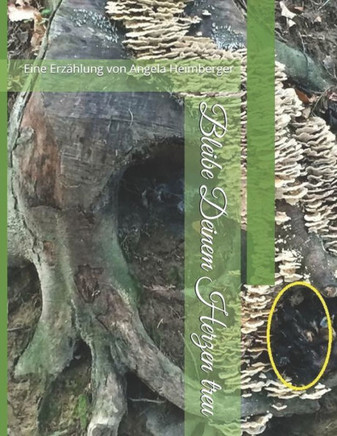 Bleibe Deinem Herzen treu: Eine Erz?hlung von Angela Heimberger (German Edition)