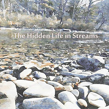 The Hidden Life in Streams