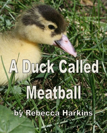 A Duck Called Meatball
