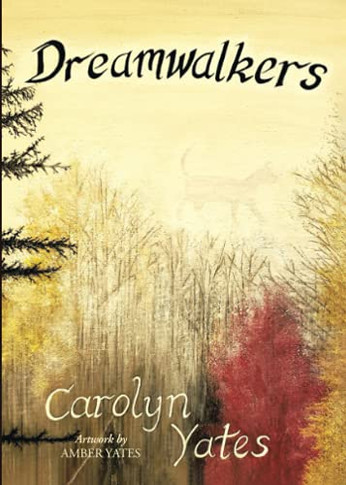 Dreamwalkers - 9780228853435