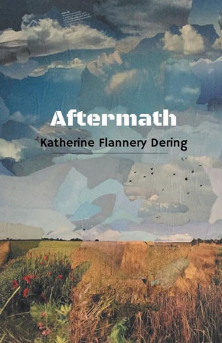 Aftermath - 9781635347968