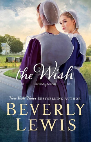 The Wish - 9780764212499