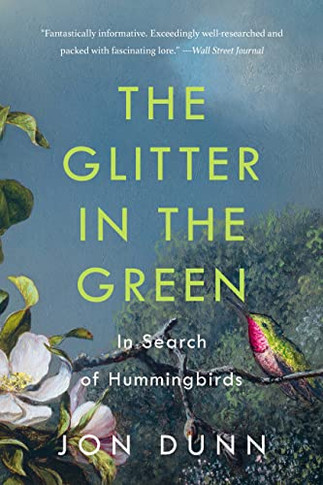 The Glitter In The Green: In Search Of Hummingbirds - 9781541601413