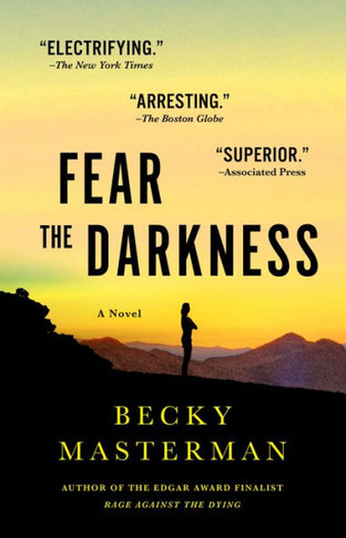 Fear the Darkness: A Novel (Brigid Quinn Series, 2)