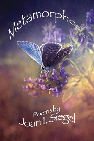 Metamorphosis - 9780991577217