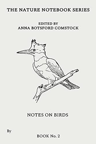 Notes On Birds 2
