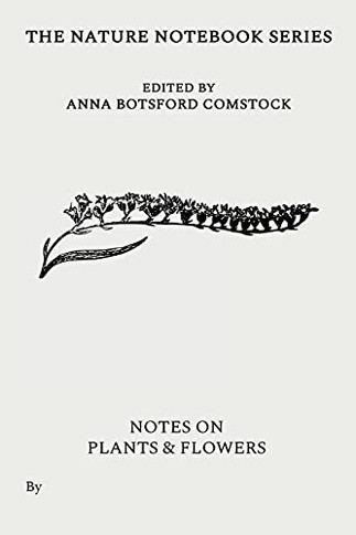 Notes On Plants And Flowers