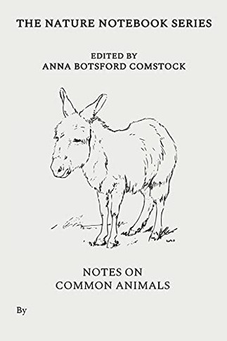 Notes On Common Animals