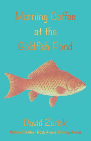 Morning Coffee At The Goldfish Pond : Seeing A World In The Garden