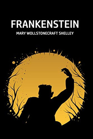 Frankenstein - 9781800601345