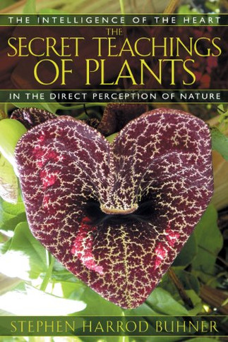 The Secret Teachings Of Plants: The Intelligence Of The Heart In The Direct Perception Of Nature