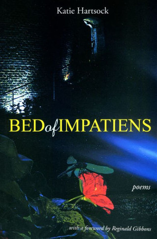 Bed of Impatiens