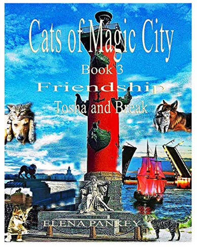 Cats of Magic City : Book 3. Friendship. Tosha and Break