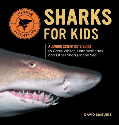 Sharks for Kids: A Junior Scientist's Guide to Great Whites, Hammerheads, and Other Sharks in the Sea