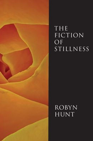 The Fiction of Stillness