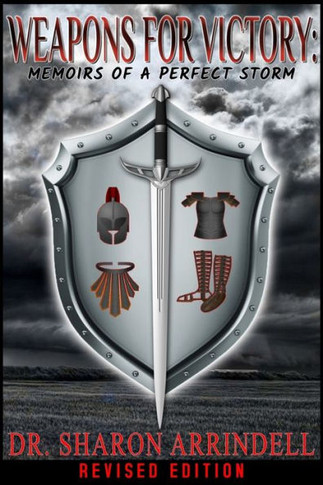 Weapons for Victory: Memoirs of a Perfect Storm