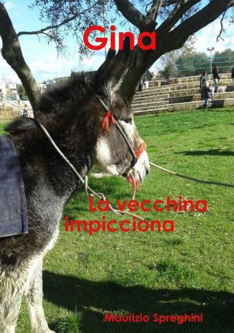 Gina -La Vecchina impicciona- (Italian Edition)