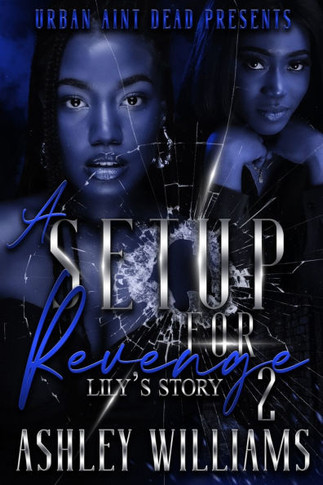 A Set Up For Revenge 2: Lily's Story