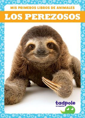 Los Perezosos (Sloths)