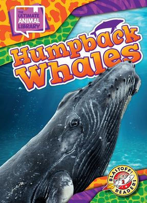 Humpback Whales