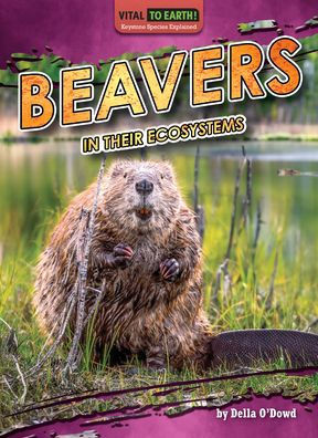 Beavers in Their Ecosystems