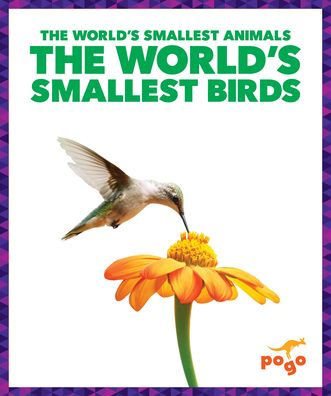 The World's Smallest Birds