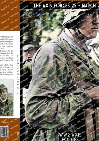 The Axis Forces 25