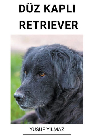 Düz Kapl&#305; Retriever