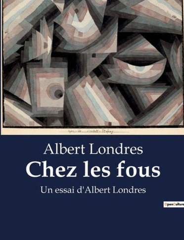 Chez les fous: Un essai d'Albert Londres
