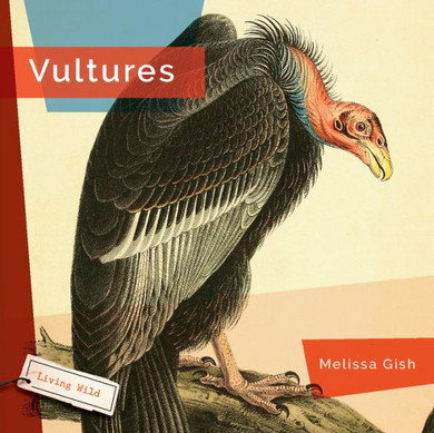 Vultures (Living Wild)