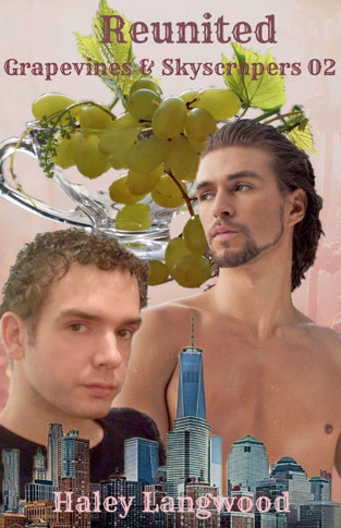 Grapevines & Skyscrapers Book Two Reunited