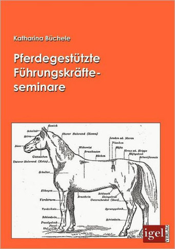 Pferdegestützte Führungskräfteseminare
